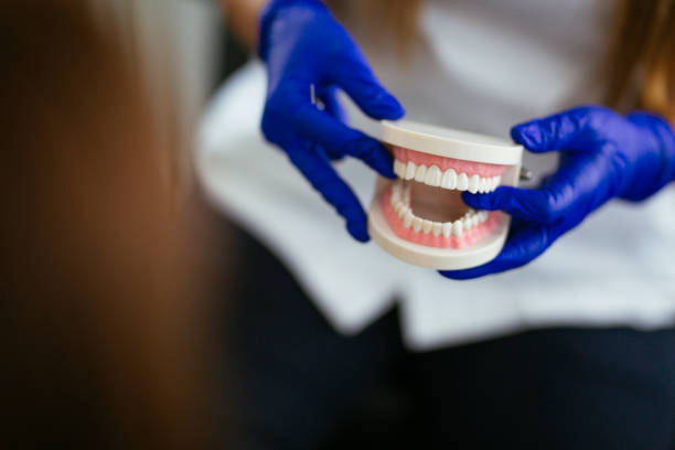 Sturgeon Bay, WI Dental Services Company